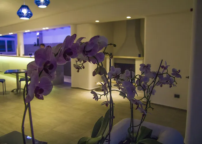 La Bella - And 4* Trani