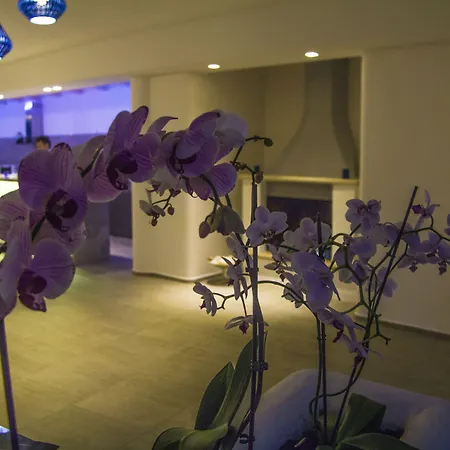 La Bella - And 4* Trani